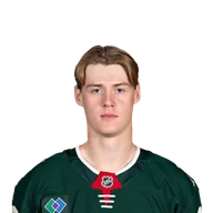 Viking Gustafsson Nyberg headshot